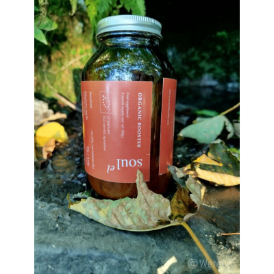 Soulel Booster BIO prášek | 7 superpotravin Vegan | Wereco