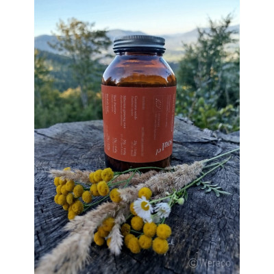 Soulel Booster BIO prášek | 7 superpotravin Vegan | Wereco