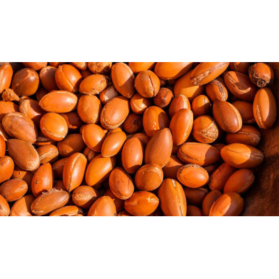 Armina bio argan oil 50ml - anti-age care and skin firming | WERECO