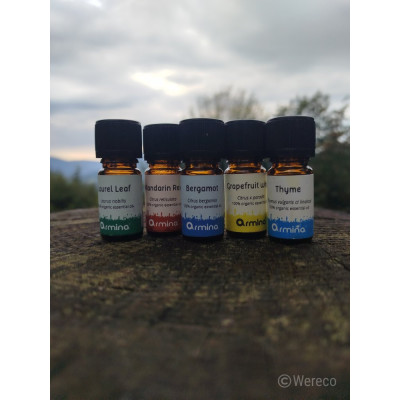 Armina bio essential oil bergamot distilled - calming citrus | WERECO