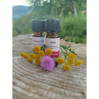 Armina essential oil Damask rose 5% in organic almond oil - luxurious care for mature skin | WERECO