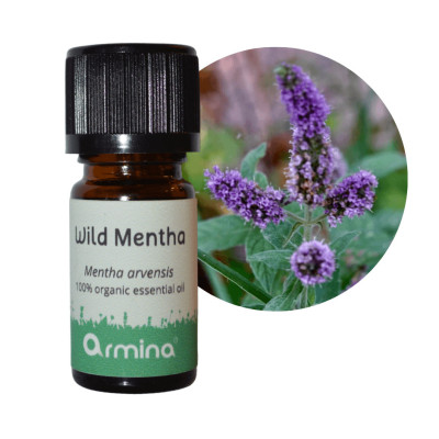 Armina bio essential oil wild field mint - menthol for joint pain | WERECO