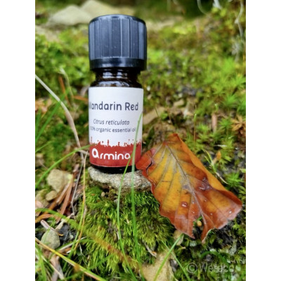 Armina bio essential oil mandarin - sweet citrus scent for the whole family | WERECO