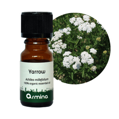 Armina bio essential oil of yarrow - therapeutic local use for the skin | WERECO