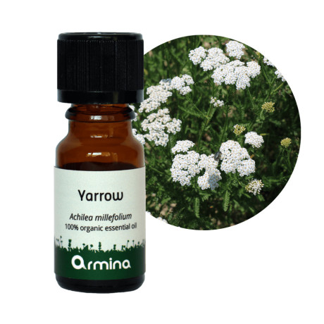 Armina Bio esenciální olej řebříček 10 ml