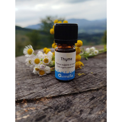Armina bio essential oil thyme linalool - the finest respiratory support | WERECO