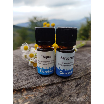Armina bio essential oil thyme linalool - the finest respiratory support | WERECO