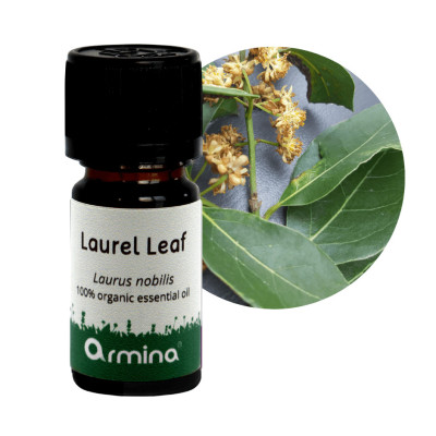 Armina bio esenciální olej vavřín - podpora cirkulace a bolesti pohybového aparátu | WERECO