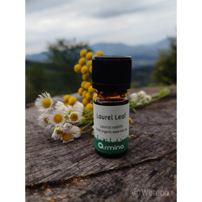 Armina bio essential bay leaf oil - support for circulation and musculoskeletal pain | WERECO