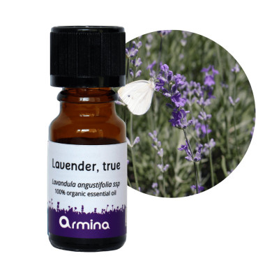 Armina bio essential oil lavender - universal calming for the whole family | WERECO