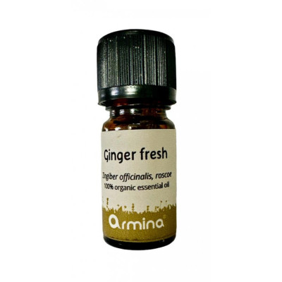 Armina essential oil ginger 5 ml - digestive support and immune strengthening | WERECO