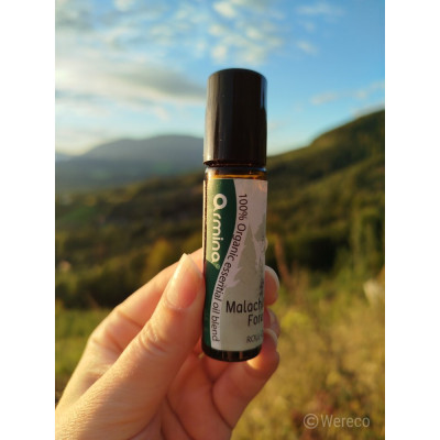 Armina Malachite Forest bio roll-on 10ml - coniferous oils against stress | WERECO