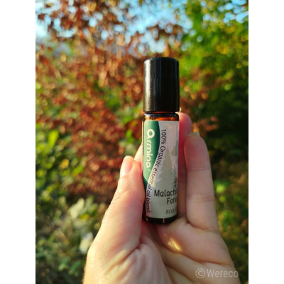 Armina Malachite Forest bio roll-on 10ml - coniferous oils against stress | WERECO