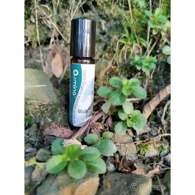 Armina Malachite Forest bio roll-on 10ml - coniferous oils against stress | WERECO