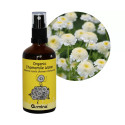 Armina hydrosol Roman chamomile organic - calming for acne and sensitive skin | WERECO