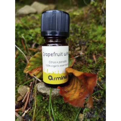 Armina bio essential oil grapefruit - energizing and anti-aging with phototoxicity | WERECO