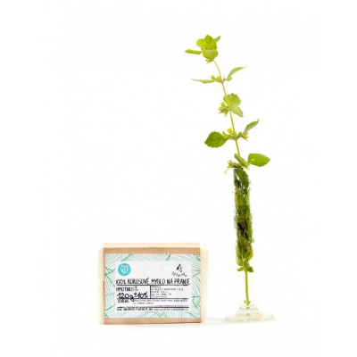 Alchemist's solid laundry soap peppermint – coconut | WERECO